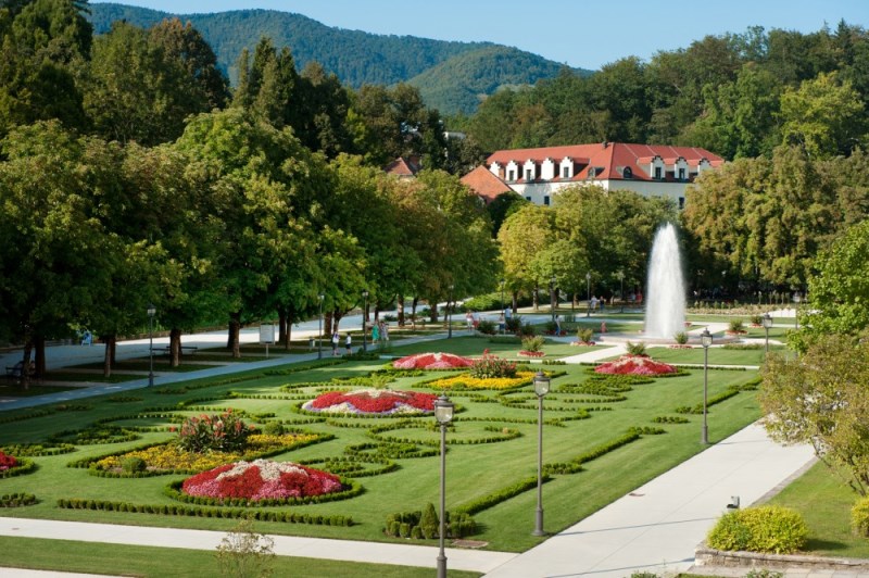 REDNI LETNI STROKOVNI POSVET 2015