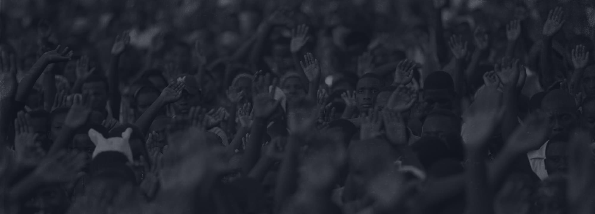 avada-charity-journal-banner5